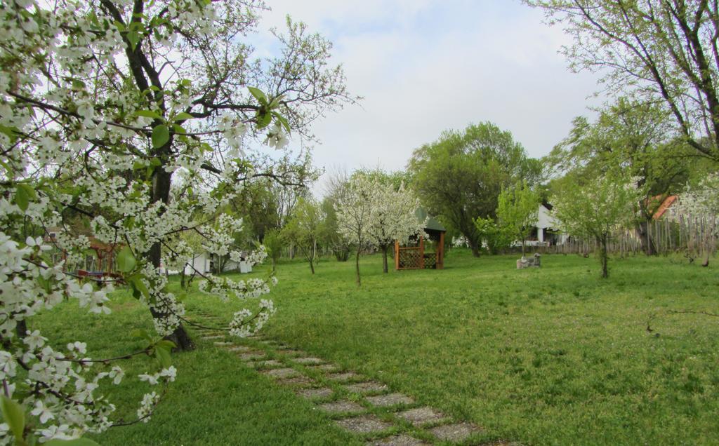 Szigligeti Panoráma Apartmanház Esterno foto